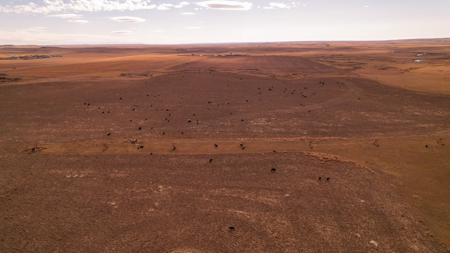 Northern Plains Farm & Ranch | 2,193± Acres | Daniels County, Mon - image 8