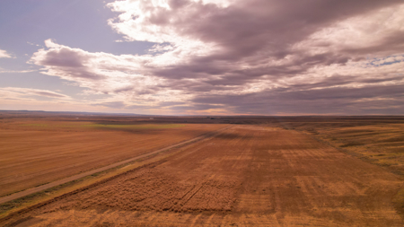 Northern Plains Farm & Ranch | 2,193± Acres | Daniels County, Mon - image 7
