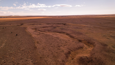 Northern Plains Farm & Ranch | 2,193± Acres | Daniels County, Mon - image 42