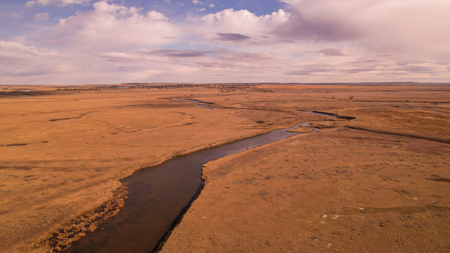 Northern Plains Farm & Ranch | 2,193± Acres | Daniels County, Mon - image 1