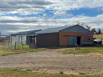 Northern Plains Farm & Ranch | 2,193± Acres | Daniels County, Mon - image 35