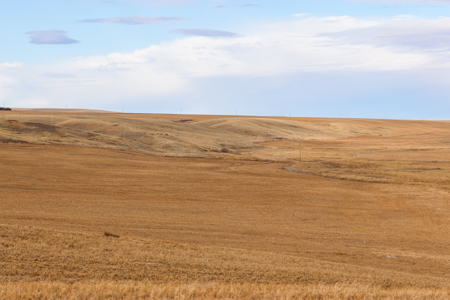Northern Plains Farm & Ranch | 2,193± Acres | Daniels County, Mon - image 21