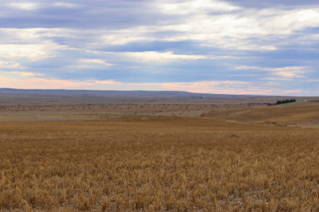 Northern Plains Farm & Ranch | 2,193± Acres | Daniels County, Mon - image 41