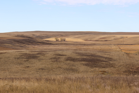 Northern Plains Farm & Ranch | 2,193± Acres | Daniels County, Mon - image 24