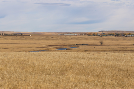 Northern Plains Farm & Ranch | 2,193± Acres | Daniels County, Mon - image 29