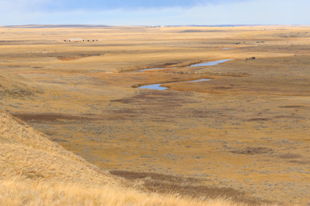 Northern Plains Farm & Ranch | 2,193± Acres | Daniels County, Mon - image 26