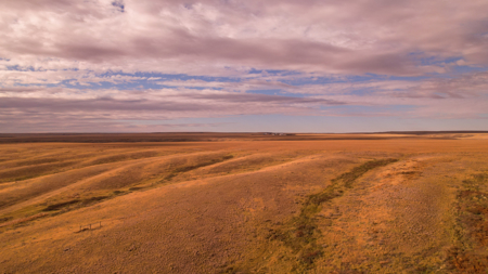 Northern Plains Farm & Ranch | 2,193± Acres | Daniels County, Mon - image 39