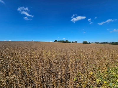 002 HWY C, Purdin, MO - BLACK FRIDAY AUCTION TRACT 2! - image 8