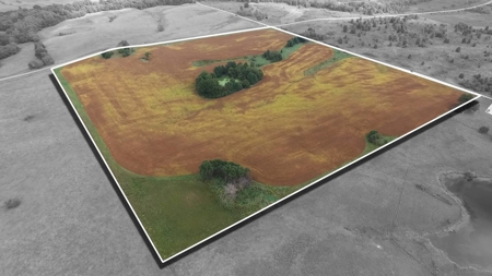 002 HWY C, Purdin, MO - BLACK FRIDAY AUCTION TRACT 2! - image 3