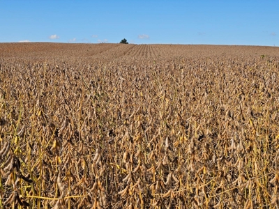 002 HWY C, Purdin, MO - BLACK FRIDAY AUCTION TRACT 2! - image 6