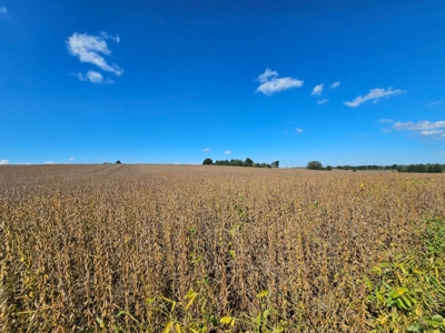 002 HWY C, Purdin, MO - BLACK FRIDAY AUCTION TRACT 2! - image 7