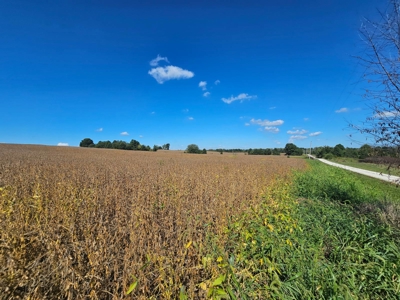 002 HWY C, Purdin, MO - BLACK FRIDAY AUCTION TRACT 2! - image 9