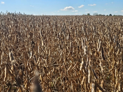 002 HWY C, Purdin, MO - BLACK FRIDAY AUCTION TRACT 2! - image 5