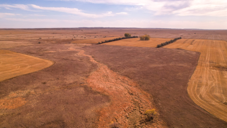 Prairie Pheasant Farm | Froid, MT - image 14