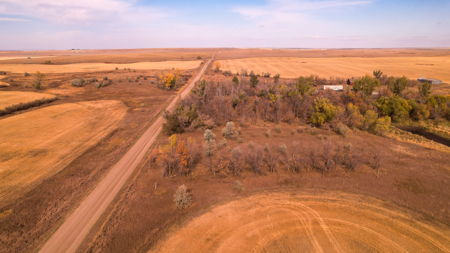 Prairie Pheasant Farm | Froid, MT - image 21