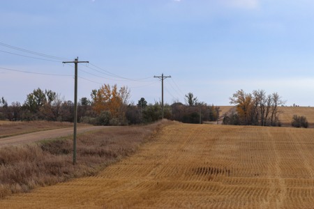 Prairie Pheasant Farm | Froid, MT - image 39