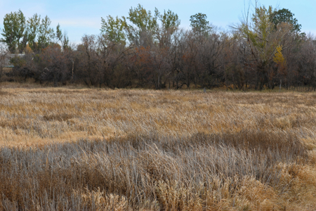 Prairie Pheasant Farm | Froid, MT - image 28