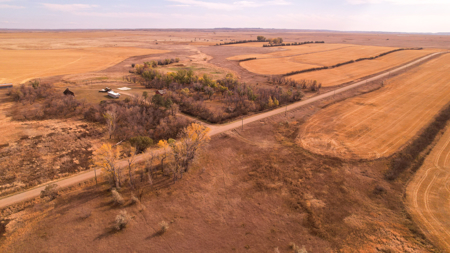 Prairie Pheasant Farm | Froid, MT - image 7