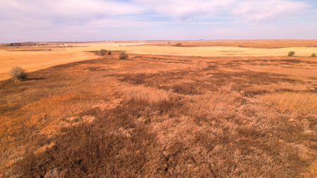 Prairie Pheasant Farm | Froid, MT - image 40