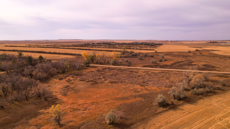 Prairie Pheasant Farm | Froid, MT - image 6