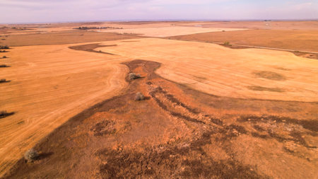 Prairie Pheasant Farm | Froid, MT - image 43
