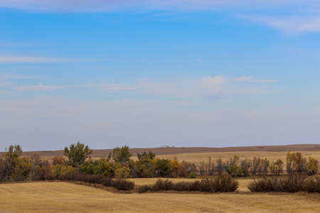 Prairie Pheasant Farm | Froid, MT - image 9