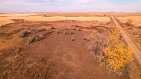 Prairie Pheasant Farm | Froid, MT - image 34
