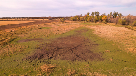 Prairie Pheasant Farm | Froid, MT - image 23