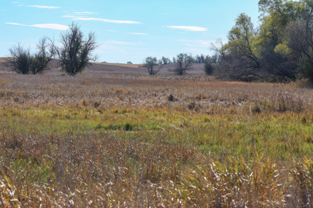 Prairie Pheasant Farm | Froid, MT - image 35