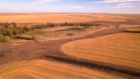 Prairie Pheasant Farm | Froid, MT - image 16