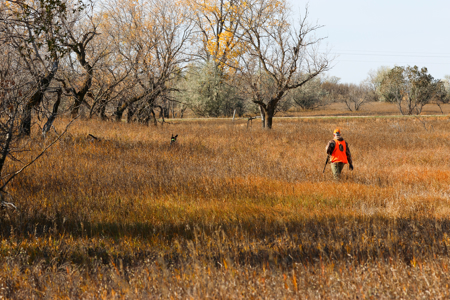 Prairie Pheasant Farm | Froid, MT - image 13
