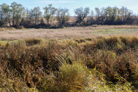 Prairie Pheasant Farm | Froid, MT - image 27