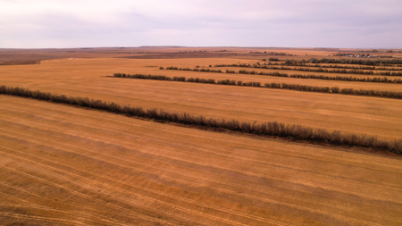 Prairie Pheasant Farm | Froid, MT - image 37