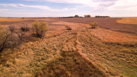 Prairie Pheasant Farm | Froid, MT - image 24