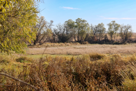 Prairie Pheasant Farm | Froid, MT - image 11