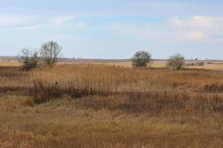 Prairie Pheasant Farm | Froid, MT - image 36