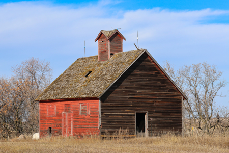 Prairie Pheasant Farm | Froid, MT - image 29