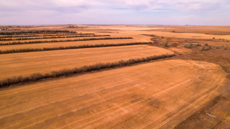 Prairie Pheasant Farm | Froid, MT - image 17