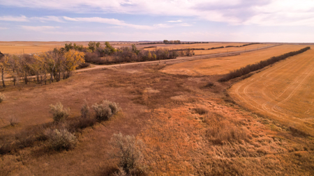 Prairie Pheasant Farm | Froid, MT - image 42