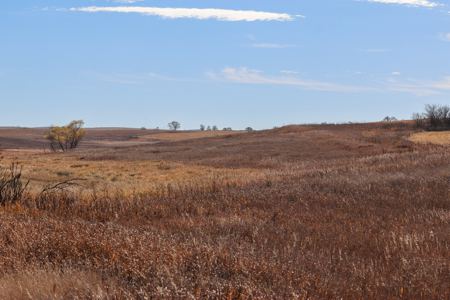 Prairie Pheasant Farm | Froid, MT - image 19