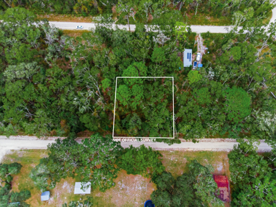 .23 Acres of Vacant Land For Sale in Old Town, Florida! - image 1