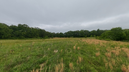 Country Home and Acreage in Summersville | Missouri Ozarks - image 50