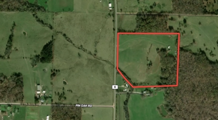 Country Home and Acreage in Summersville | Missouri Ozarks - image 2