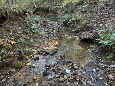 East Texas Hunting/Recreational Tract For Sale - image 12