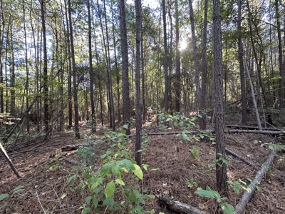 East Texas Hunting/Recreational Tract For Sale - image 26
