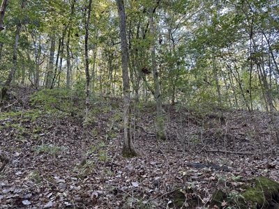 East Texas Hunting/Recreational Tract For Sale - image 14