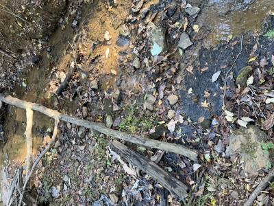 East Texas Hunting/Recreational Tract For Sale - image 10