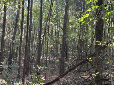 East Texas Hunting/Recreational Tract For Sale - image 25