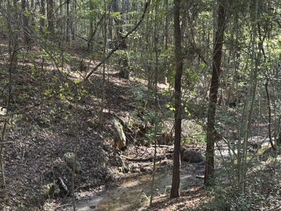East Texas Hunting/Recreational Tract For Sale - image 24