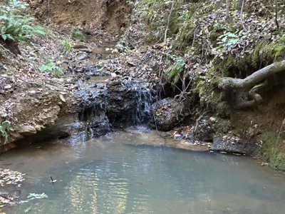 East Texas Hunting/Recreational Tract For Sale - image 1